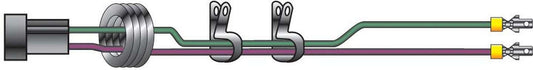 MSD8861.jpg