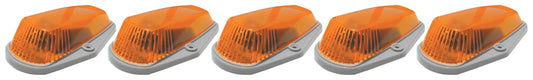 PCP20-225.jpg