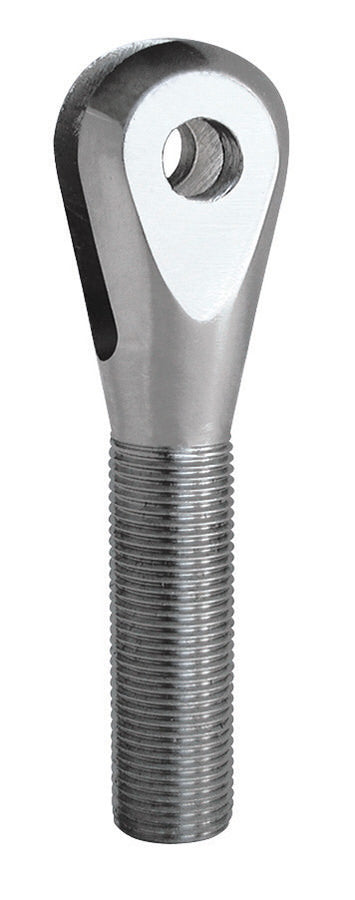 QA1CL6-8.jpg