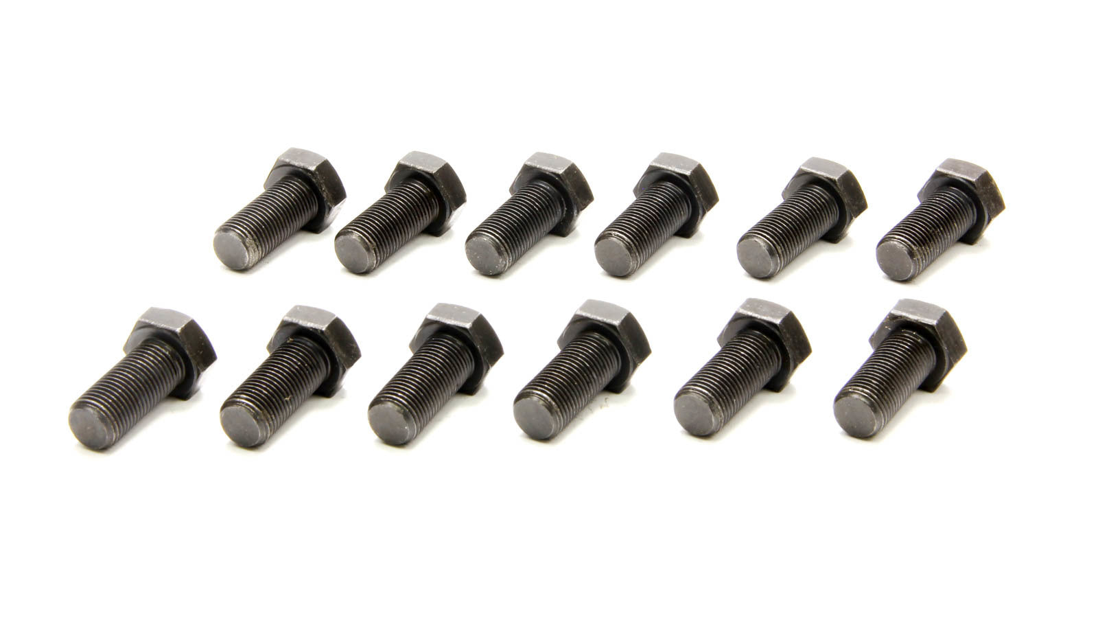 RAT1309.jpg