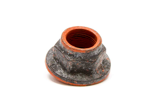 RAT1502.jpg