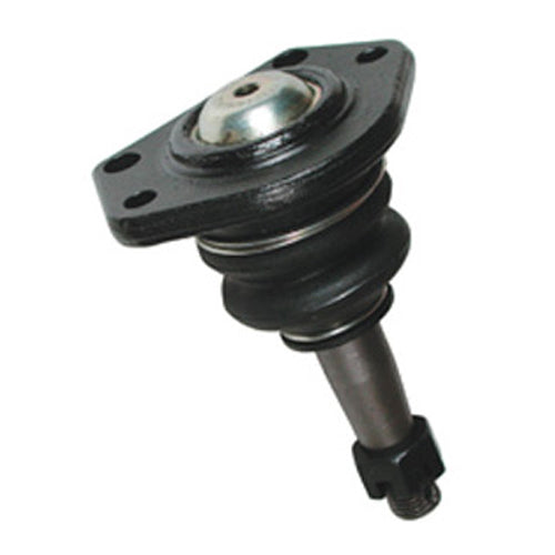 SPP94019.jpg