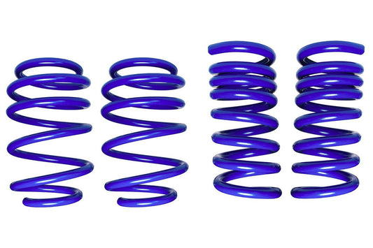 STD555-8243.jpg