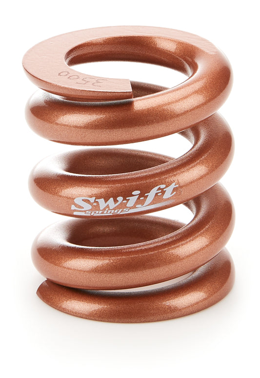 SWISBS3500.jpg