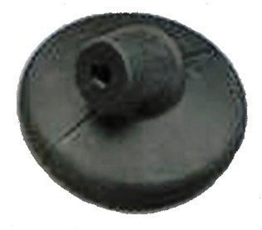 TAY44300.jpg