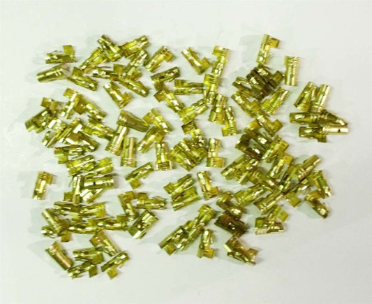 TAY44301.jpg