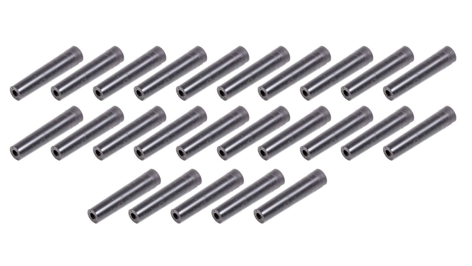 TAY46203.jpg