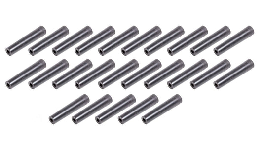 TAY46203.jpg