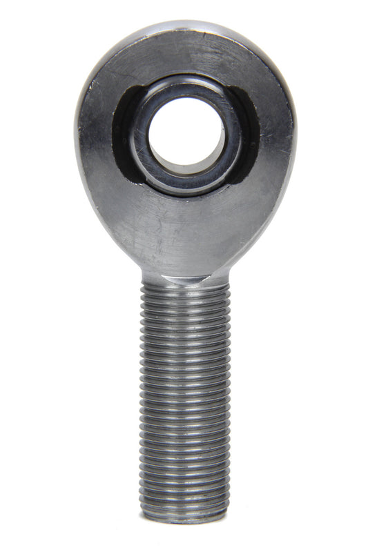 TIP8264.jpg
