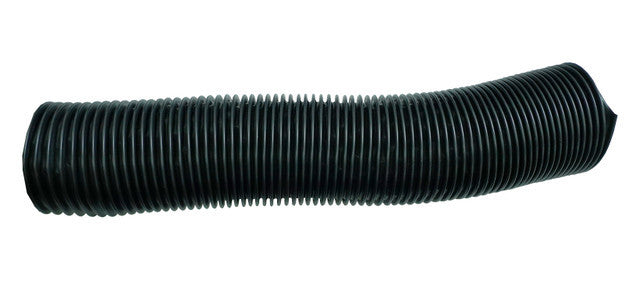 VIN318010.jpg