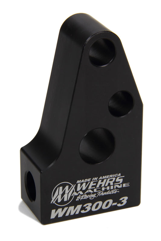 WEHWM300-3.jpg