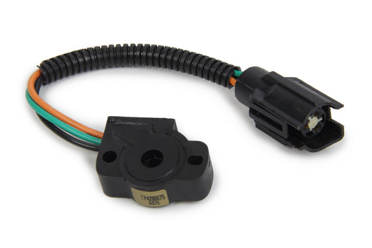 WLS488201.jpg